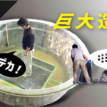 巨大造形の魅力を語るYouTube動画