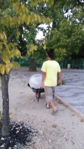 一輪車で運ばれるVIPなタマゴ