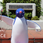 アデリーペンギン