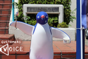 アデリーペンギン